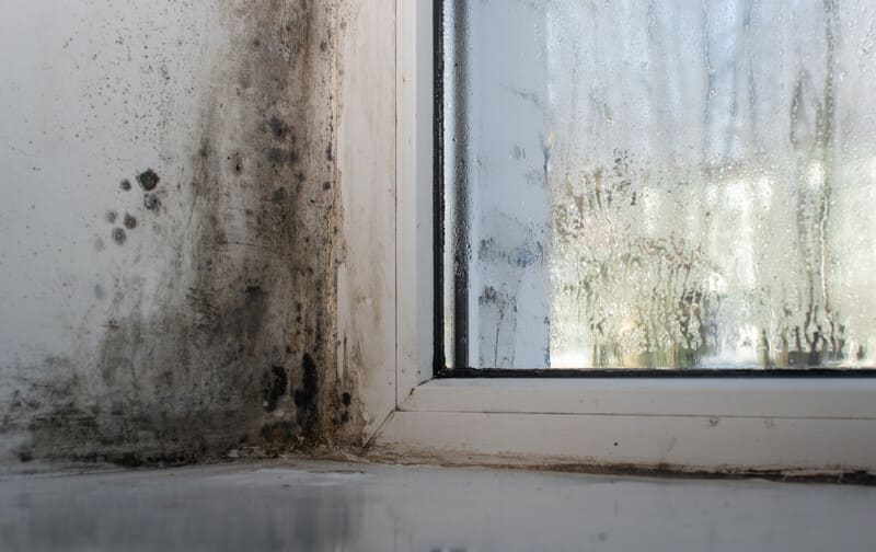 Стеклопластиковая арматура